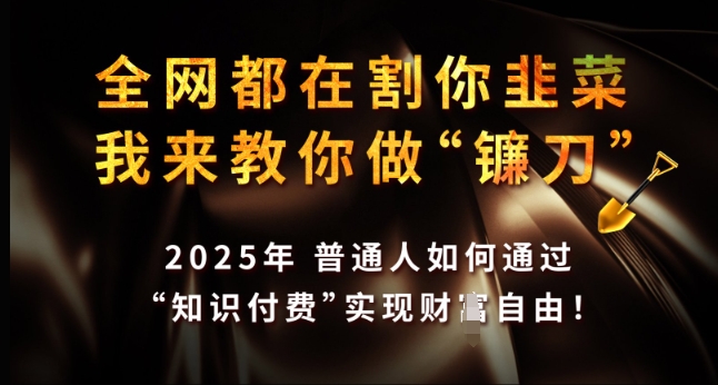 全网都在割你韭菜，我来教你做镰刀，2025年普通人如何通过 知识付费 实现财F自由【揭秘】-枫客网创