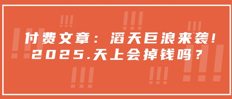 付费文章：滔天巨浪来袭！2025天上会掉钱吗？-枫客网创